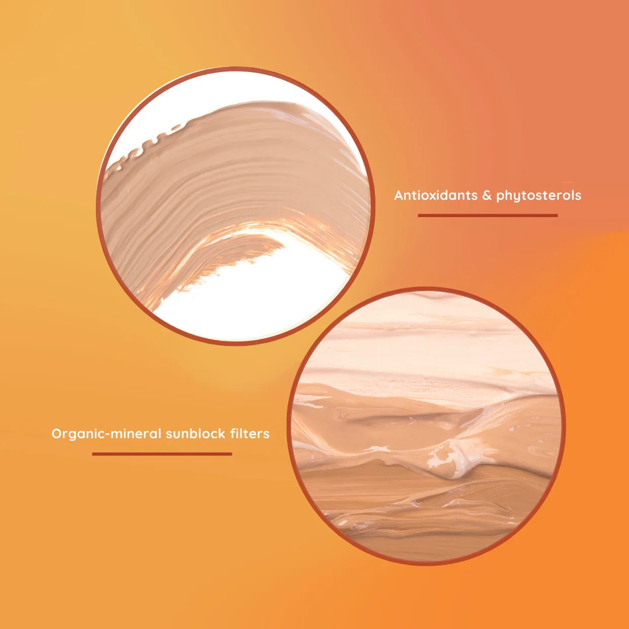 TINTED PRIMER SPF50