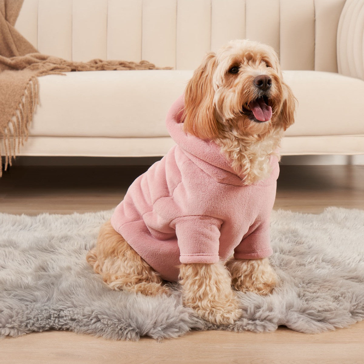 Dog Hoodie Blanket