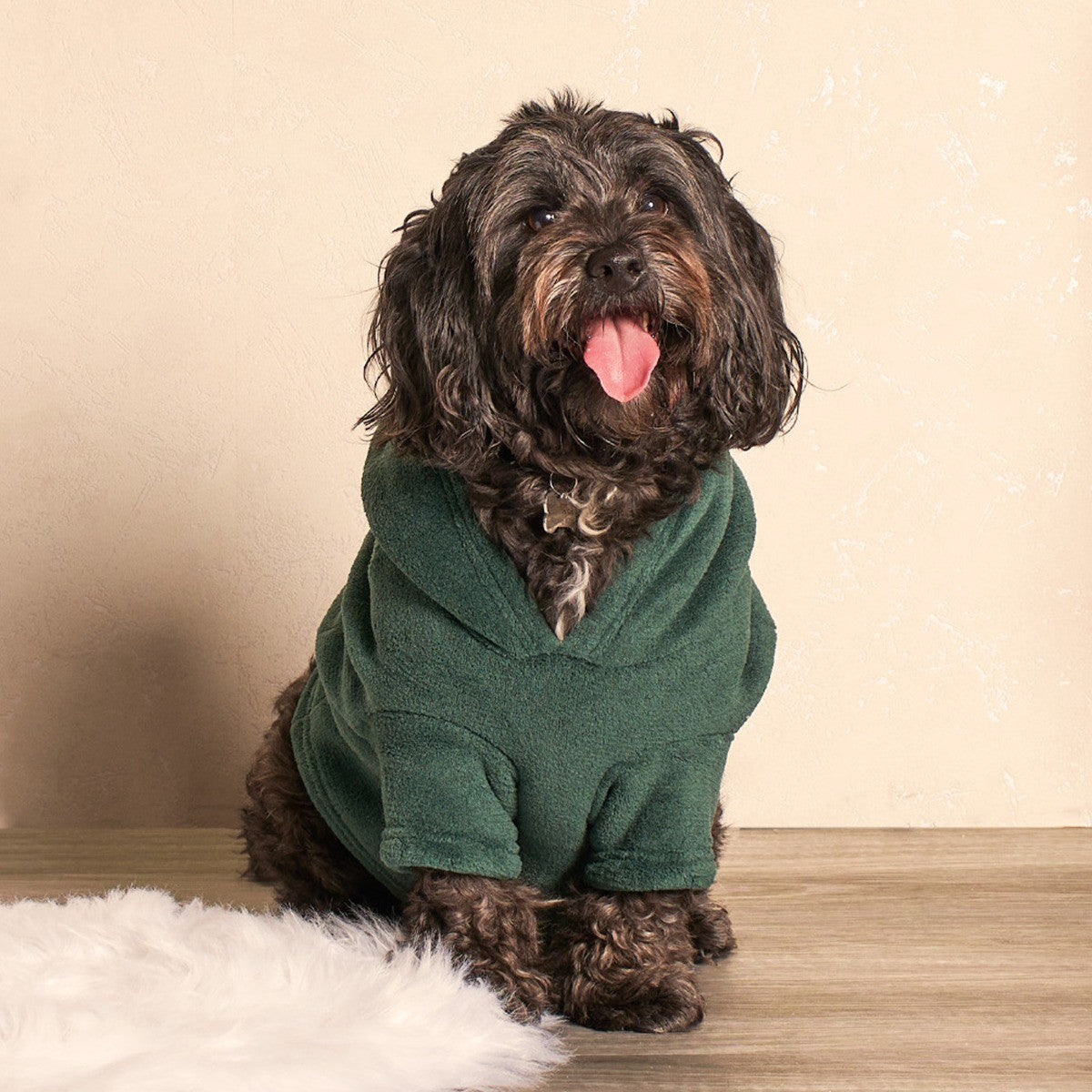 Dog Hoodie Blanket